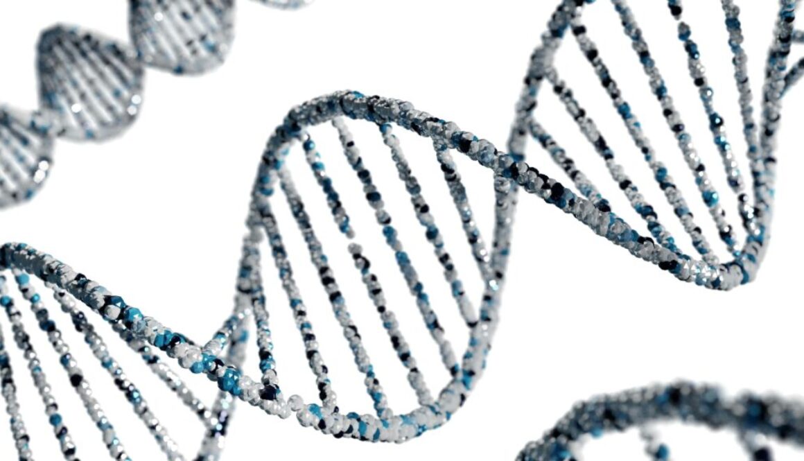 dna longevity