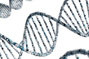 dna longevity